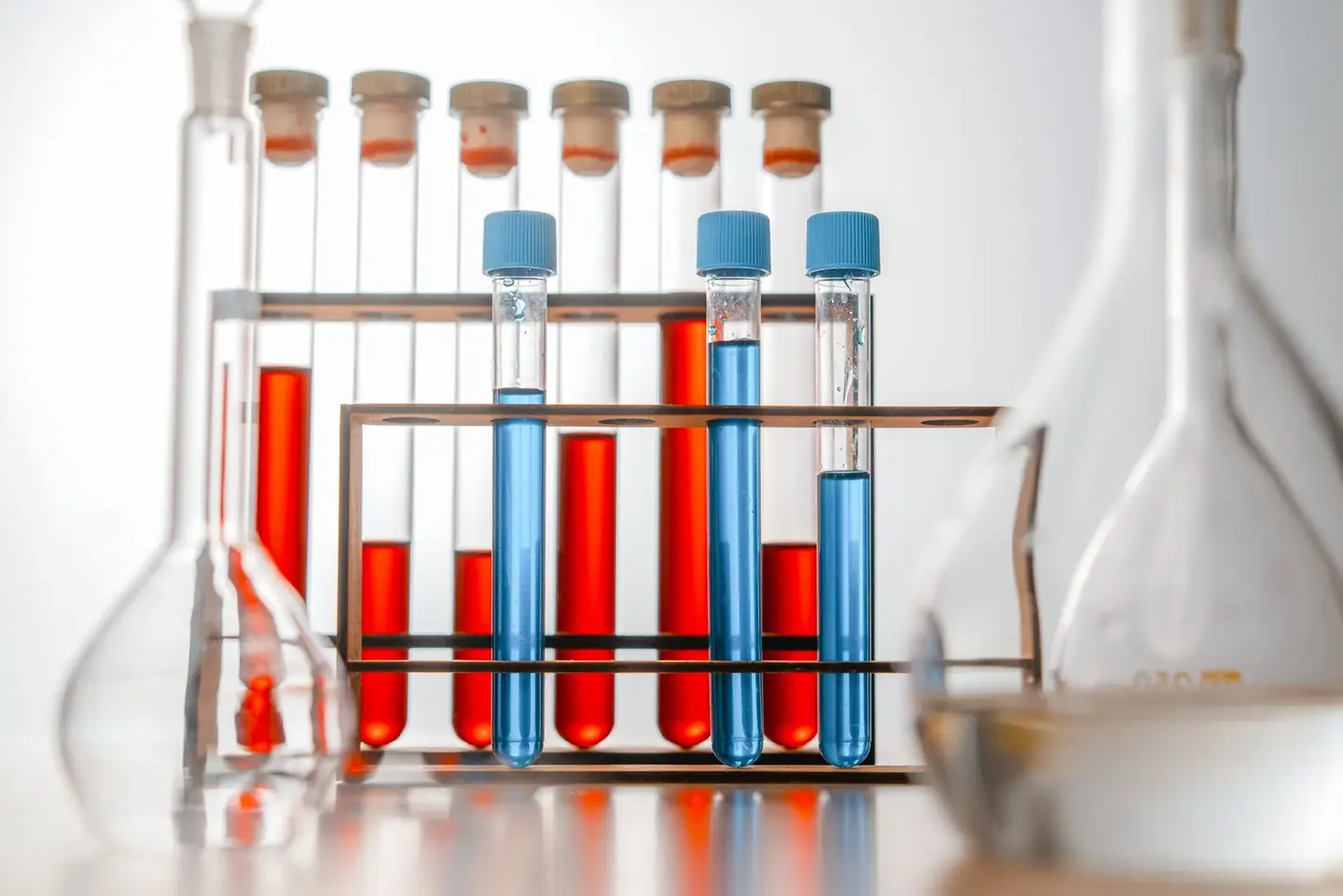 Samples racked ready for testing